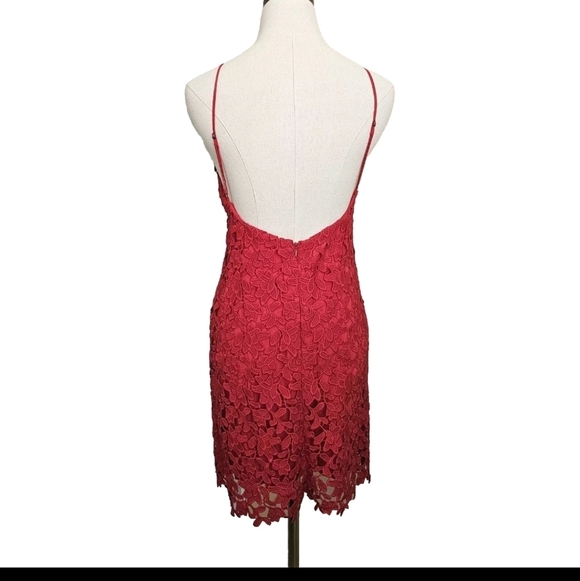 TJD The Jetset Small Red Lace Sexy Bodycon Open Back Party Prom Evening Dress - Picture 2 of 15